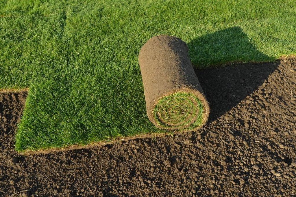 Fertigrasen von GreenTop